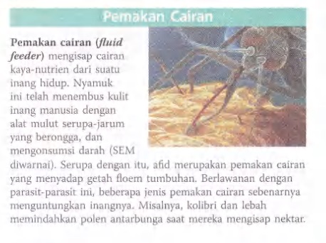 Ilustrasi Bab 41 - Nutrisi Hewan