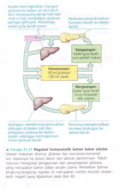 Ilustrasi Bab 41 - Nutrisi Hewan