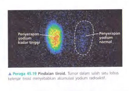 Ilustrasi Bab 45 - Hormon dan Sistem Endokrin