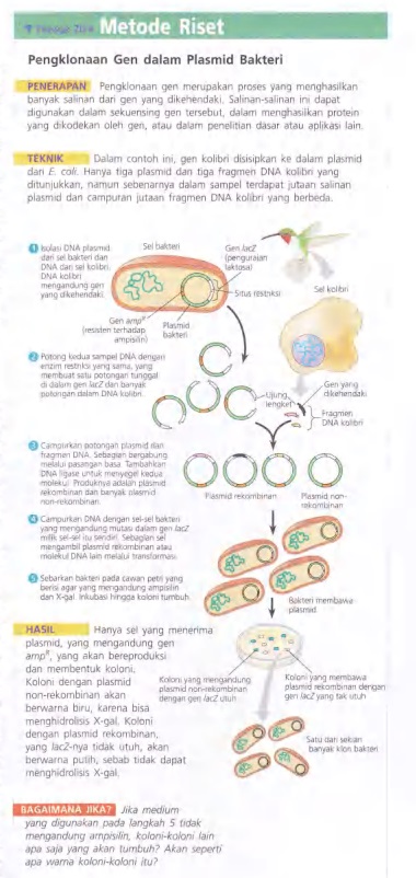 Ilustrasi Bab 20 Bioteknologi
