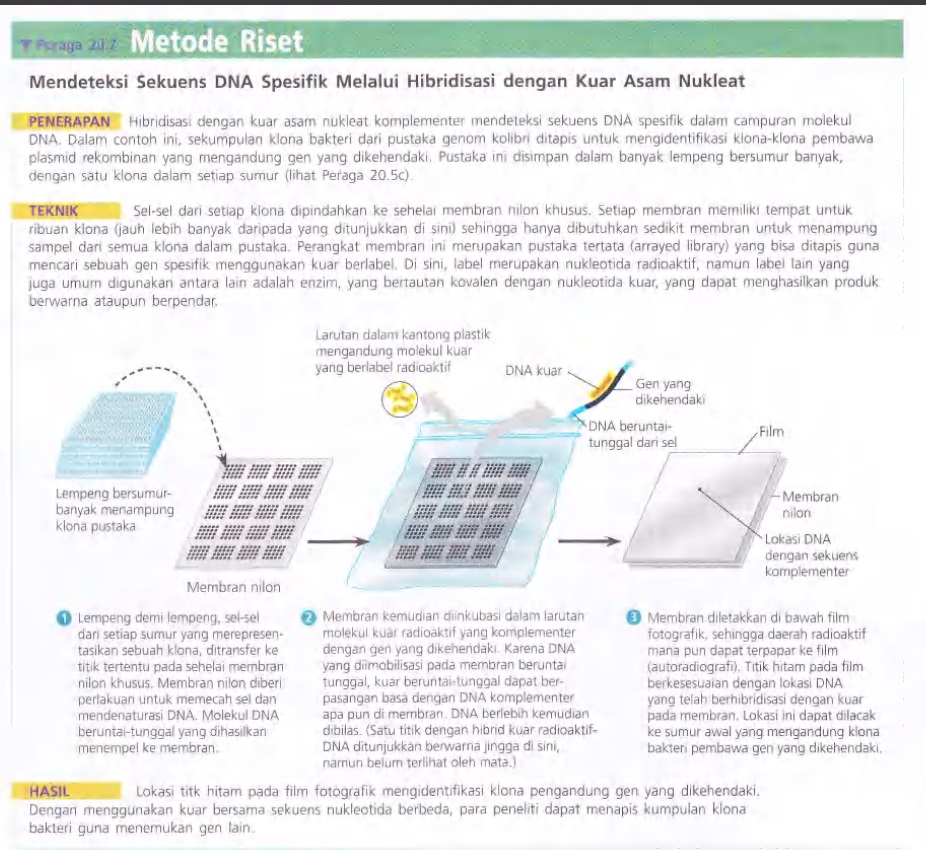 Ilustrasi Bab 20 Bioteknologi
