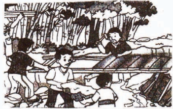 Gambar untuk soal 33