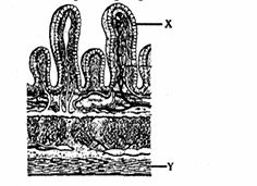 12_20260222_114650.jpg