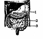 15_20260222_114718.jpg