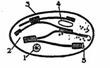 24_20260222_114753.jpg