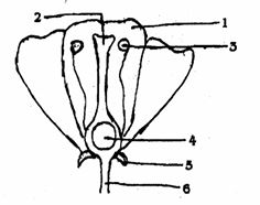 30_20260222_114834.jpg