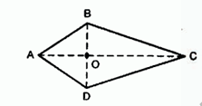 4_20260130_114844.png